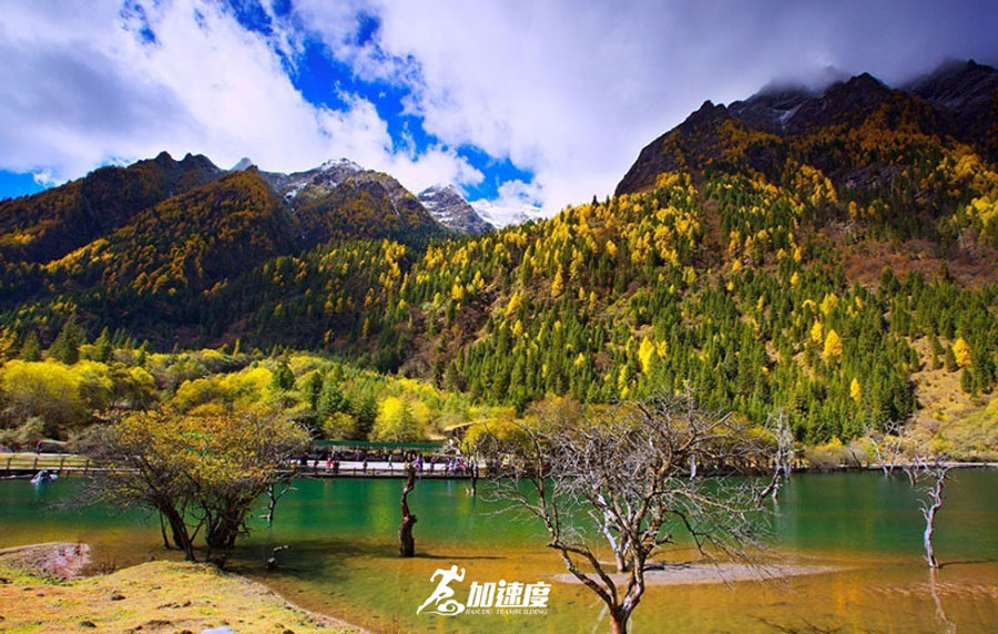 微信(xin)截圖_20240410154309.jpg